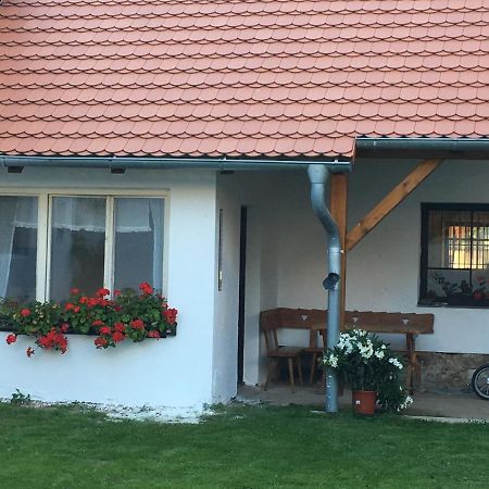 Apartament Statek Stranovice Malenice Zewnętrze zdjęcie