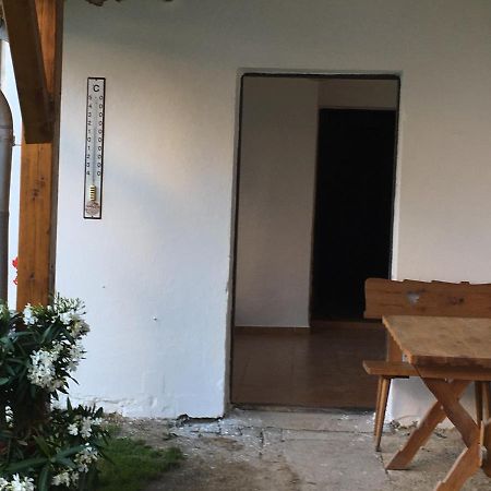 Apartament Statek Stranovice Malenice Zewnętrze zdjęcie