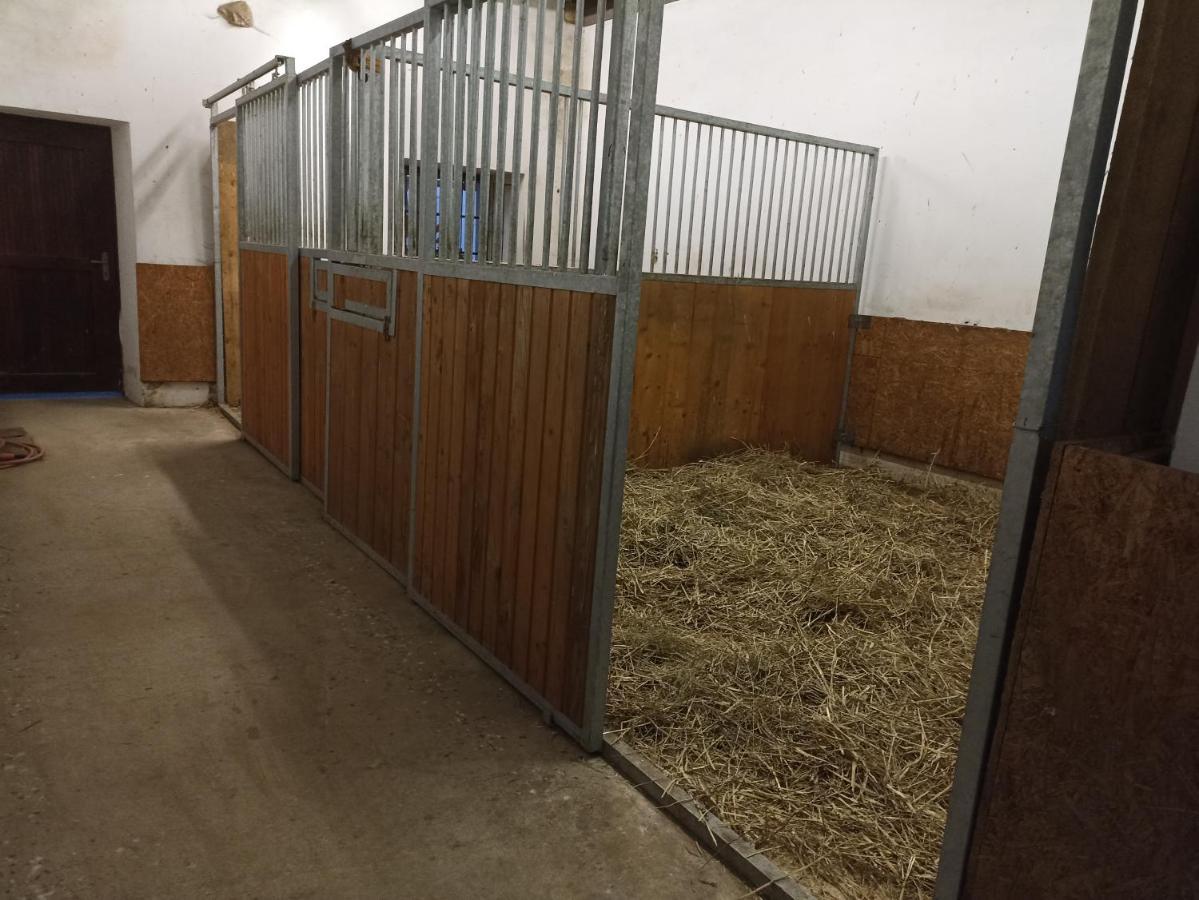 Apartament Statek Stranovice Malenice Zewnętrze zdjęcie
